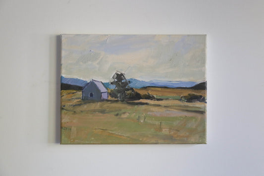 Shed on CR131