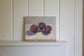 Plums