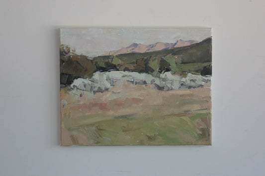 Western Slope